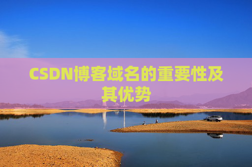 CSDN博客域名的重要性及其优势